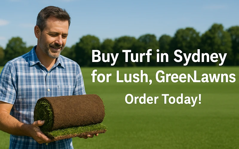 Buy Turf in Sydney for Lush Lawns & Lasting Results