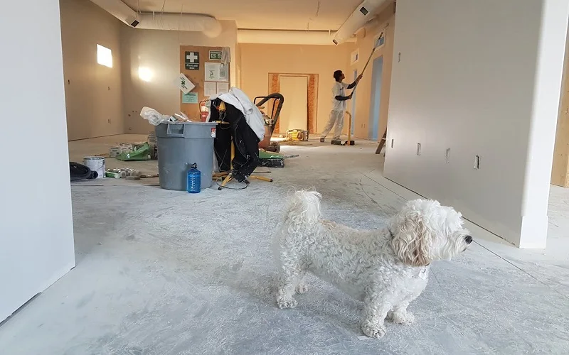 Guide to Home Repairs
