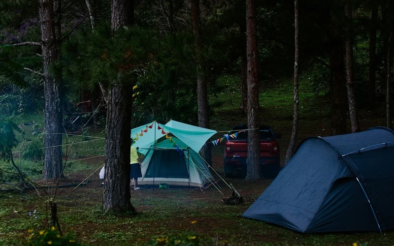 Successful Hunting Camp