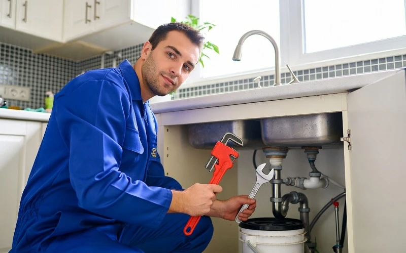 Professional plumber
